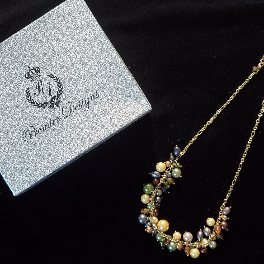Premier Designs Jewelry - Necklace